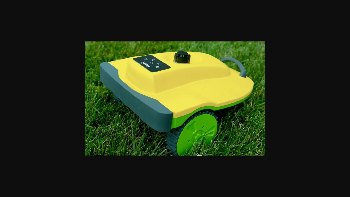 Dandy AI Weed Control Robot