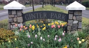 Pressure Washing in Ginter Park
