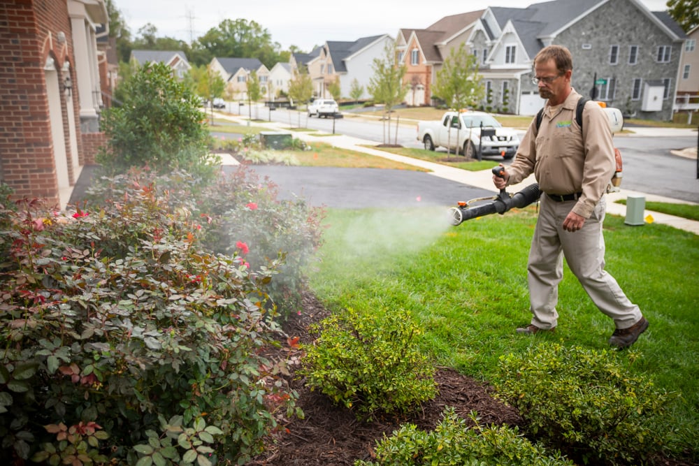 Mosquito Control