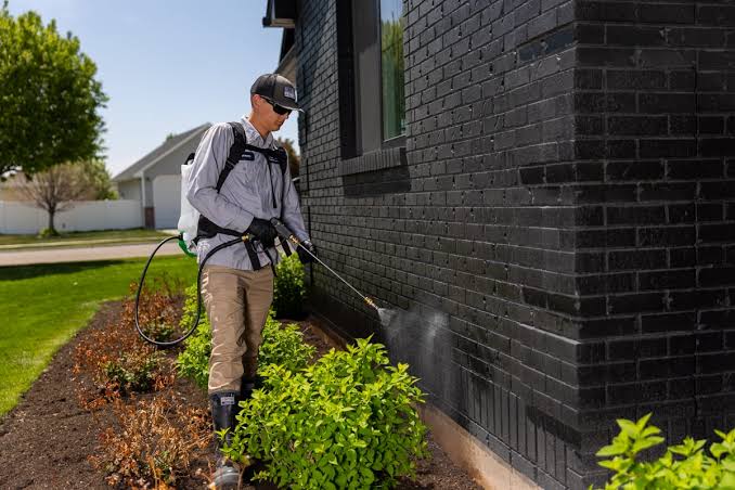 PEST CONTROL PROS