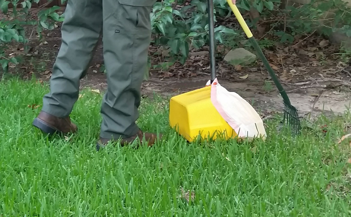 Pet Waste Removal